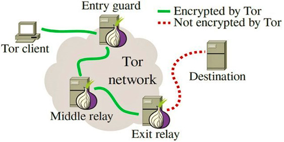 Diagrama que muestra cómo funciona la red Tor