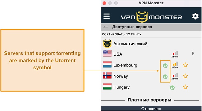 Screenshot of VPN Monster servers that support torrenting