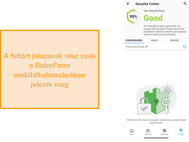 Képernyőkép a RoboForm feltört jelszavak szakaszáról.