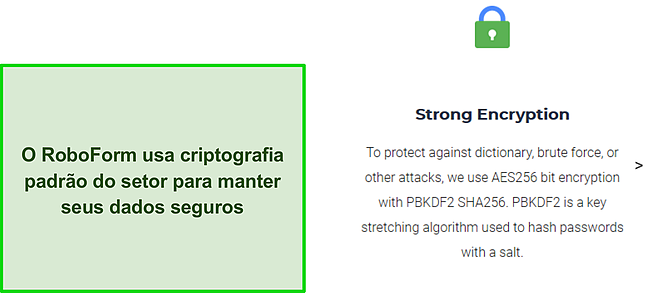 Captura de tela da criptografia do RoboForm.