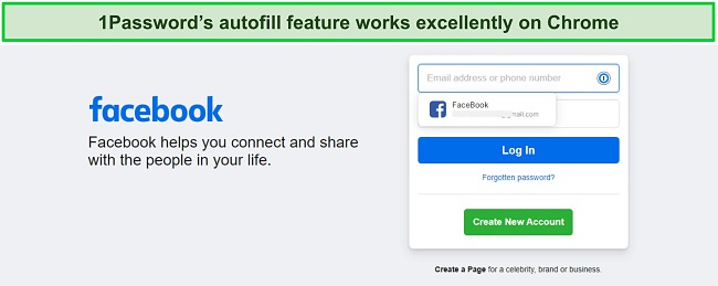 Screenshot of the 1Password autofill feature