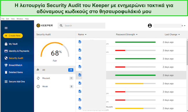 Στιγμιότυπο οθόνης της καρτέλας Keeper's Security Audit
