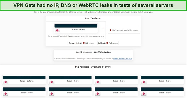 Screenshot of VPN Gate's IP/DNS leak test result