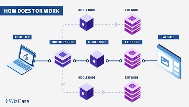 Maximizing tor browser can allow websites to determine megaruzxpnew4af онлайн браузер тор для андроид mega вход