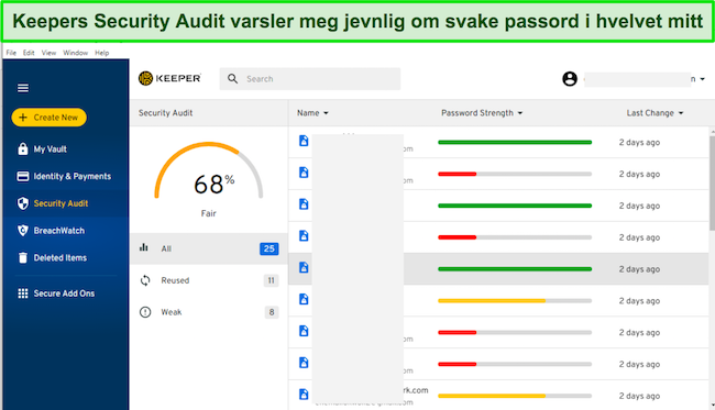 Skjermbilde av Keepers Security Audit-fane