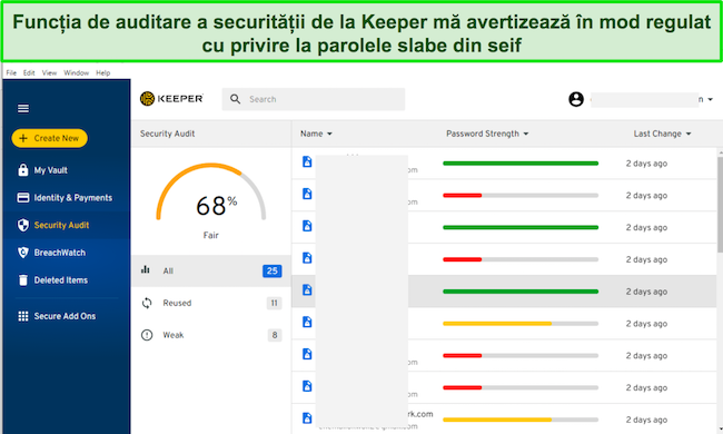 Captură de ecran a filei Audit de securitate a lui Keeper