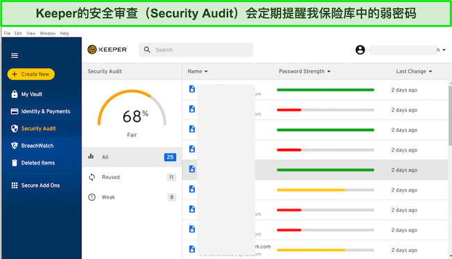 Keeper 的“安全审核”选项卡的屏幕截图