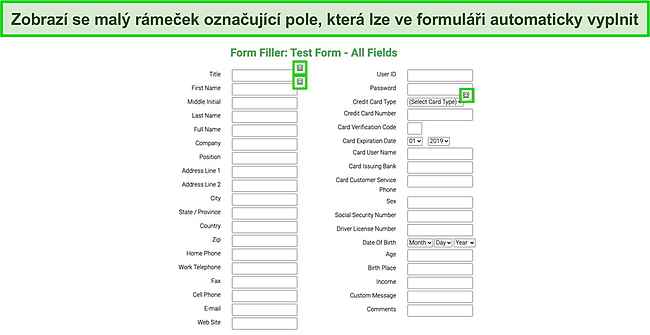 Snímek obrazovky s automatickým vyplňováním testovacího formuláře funkcí automatického vyplňování Roboformu.