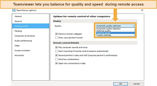 Screenshot of TeamViewer's remote access options