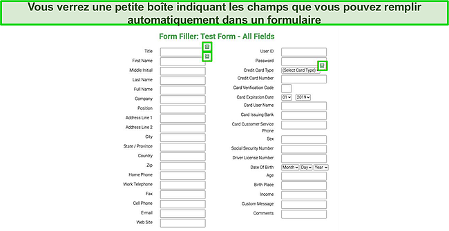 Capture d'écran du formulaire de test rempli automatiquement par la fonction de remplissage automatique de Roboform.