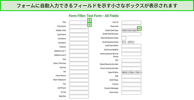 ロボフォームの自動入力機能によって自動入力されるテストフォームのスクリーンショット。