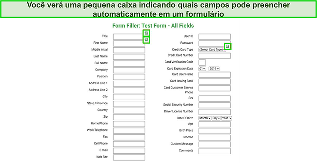 Captura de tela do formulário de teste sendo preenchido automaticamente pelo recurso de preenchimento automático do Roboform.