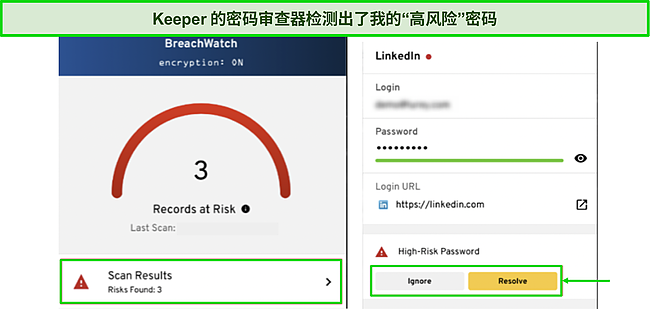 Keeper's Password Auditor 检测弱密码的屏幕截图。