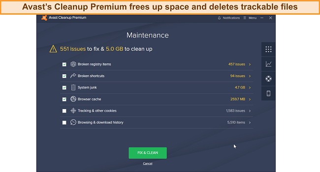 Screenshot of Avast's Premium Cleanup Interface