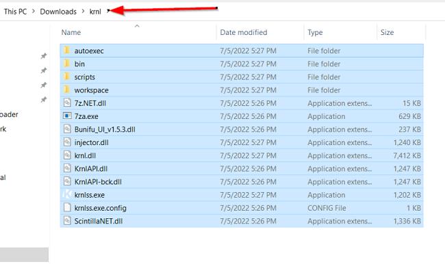 Скриншот каталога файлов Krnl