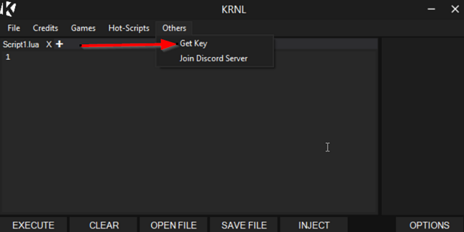 Krnl ottiene lo screenshot della chiave