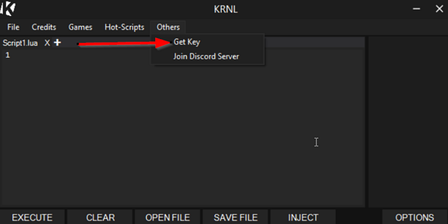 Krnl Discord Server [Official Server 2023] - DSL