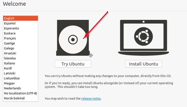Ubuntun asennusvaihtoehtojen kuvakaappaus