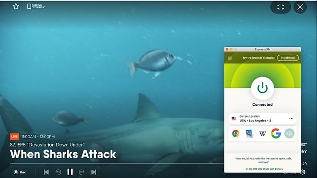 When Sharks Attack streaming on fuboTV with ExpressVPN connected