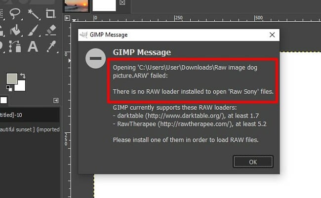 GIMP non ha il supporto nativo per i file RAW