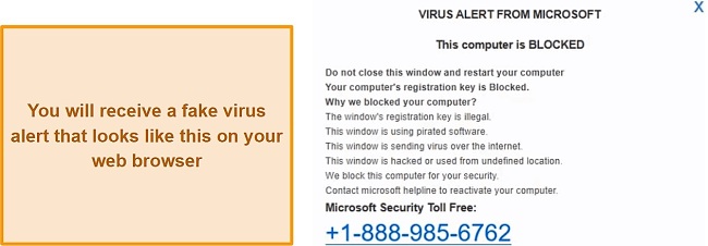 Screenshot of fake virus alert pop-up on a web browser