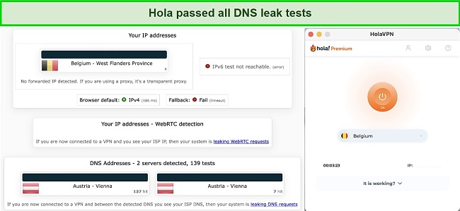Screenshot of IP, DNS and WebRTC leak tests
