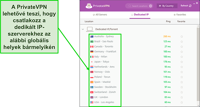 Képernyőkép a PrivateVPN dedikált IP-kiszolgáló menüjéről a Windows rendszerben.