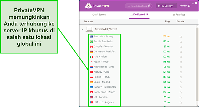 Cuplikan layar menu server IP Khusus PrivateVPN di Windows.