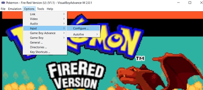 Pokemon FireRed options configure screenshot