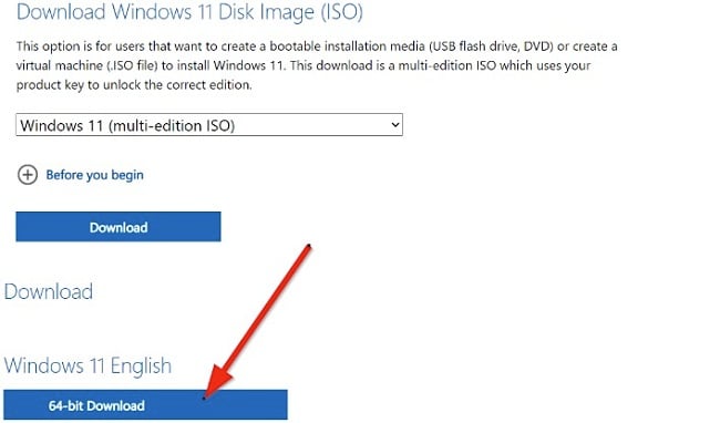 Captura de tela do botão de download do Windows 11