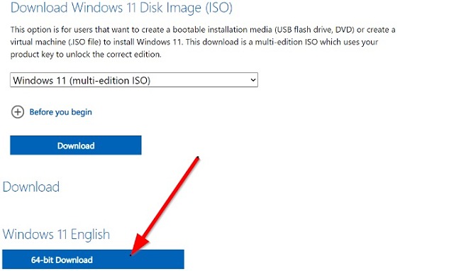 Schermata del pulsante di download di Windows 11