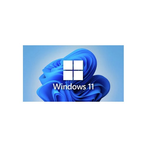 Windows 11 22H2 - Download for PC Free