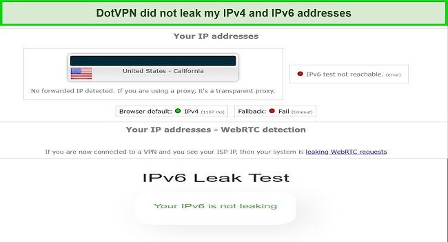 Screenshot of IP/DNS leak tests