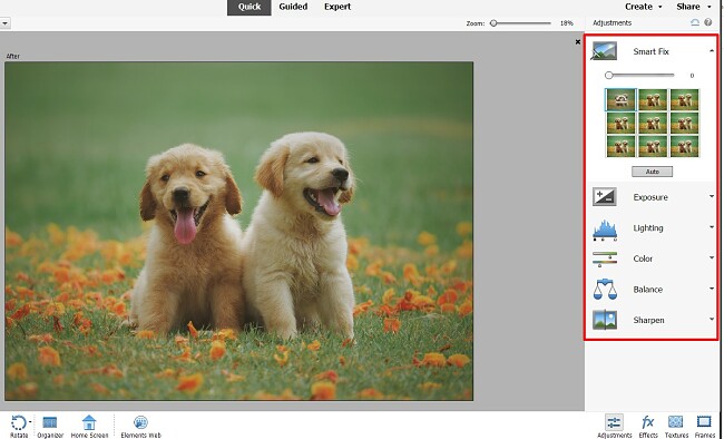 Photoshop Element quick edits