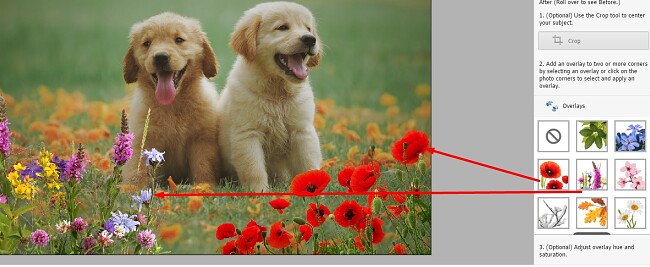 Photoshop Elements Peek overlays 