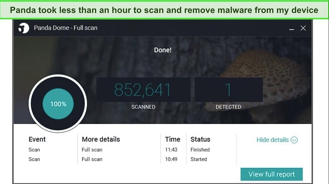 Screenshot of Panda full scan results page