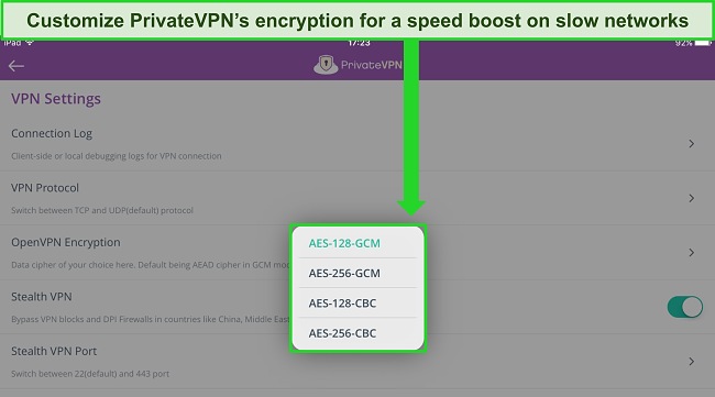 Image of PrivateVPN's iPad app showing the VPN Settings menu that allows the user to customize the connection encryption level for OpenVPN.