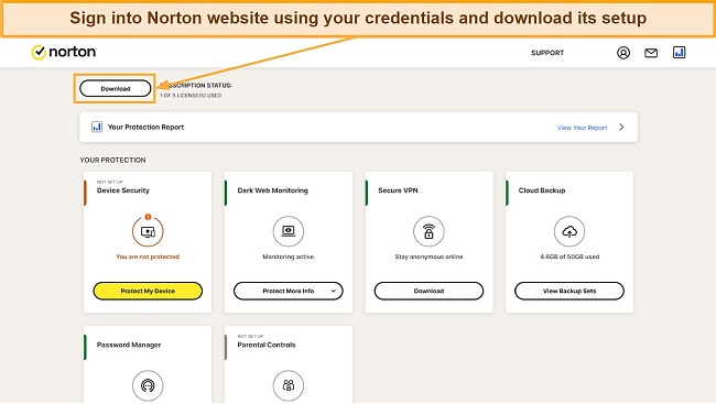 Screenshot showing Norton's web portal with the download option