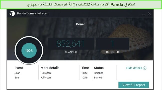 لقطة شاشة لصفحة نتائج المسح الكامل لـ Panda