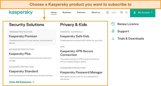 Screenshot of Kaspersky's list of products on its website
