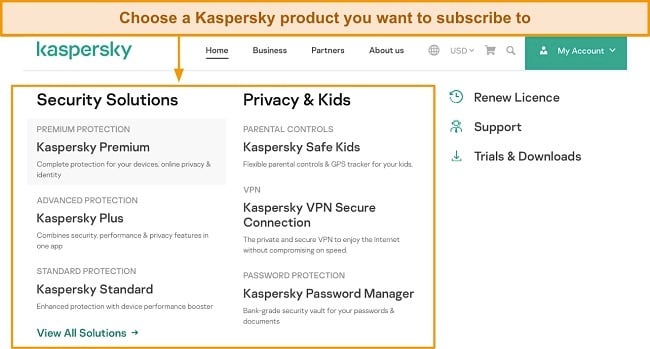 Screenshot of Kaspersky's list of products on its website