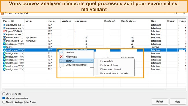 Capture d'écran de l'onglet Connexions Tinywall