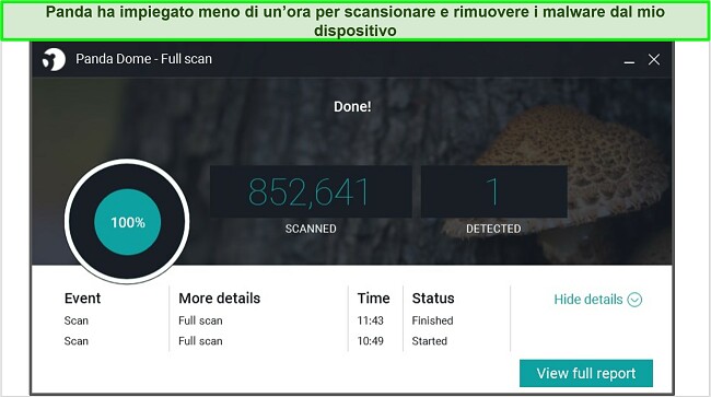 Screenshot della pagina dei risultati della scansione completa di Panda