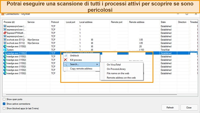 Screenshot della scheda Connessioni di Tinywall