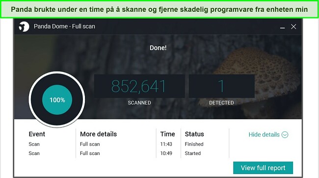 Skjermbilde av Panda full skanning resultatside