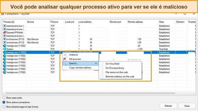 Captura de tela da guia de conexões do Tinywall