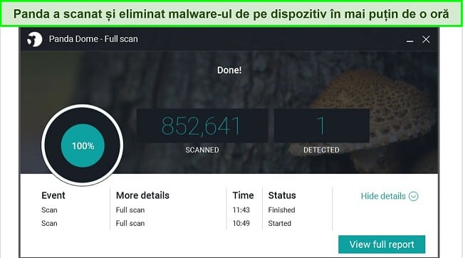 Captură de ecran a paginii cu rezultatele scanării complete Panda