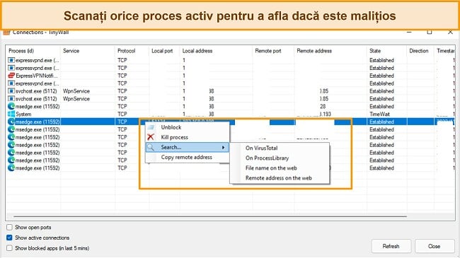 Captură de ecran a filei conexiuni Tinywall