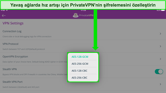 PrivateVPN'in iPad uygulamasının, kullanıcının OpenVPN için bağlantı şifreleme düzeyini özelleştirmesine olanak tanıyan VPN Ayarları menüsünü gösteren görüntüsü.