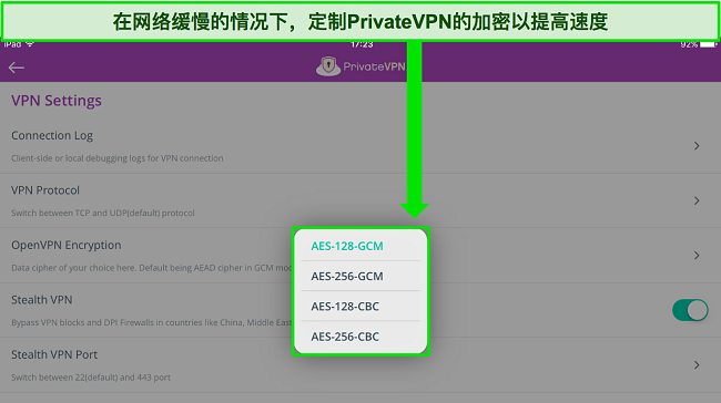 PrivateVPN 的 iPad 应用程序图像显示 VPN 设置菜单，允许用户自定义 OpenVPN 的连接加密级别。